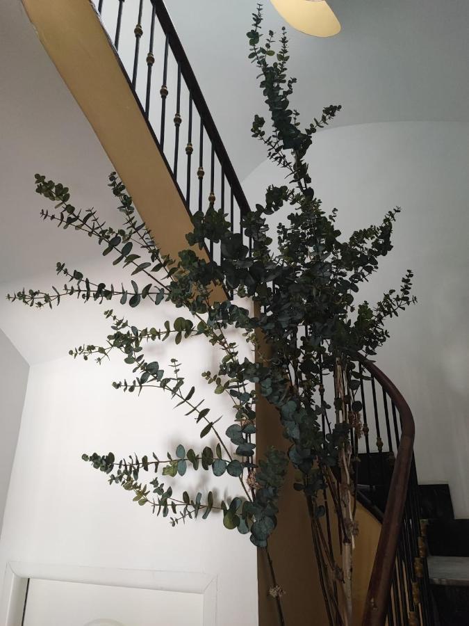 Apartamento Albarino 23 Novelda Ngoại thất bức ảnh